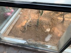 -石家庄市动物园