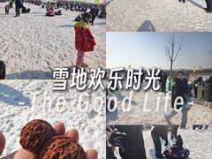 -西青郊野公园