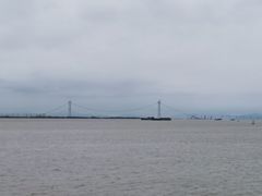 -大湾区中央湿地公园