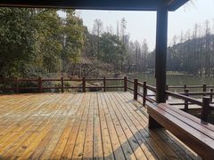 -上海滨江森林公园