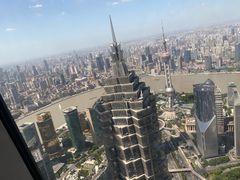 -上海柏悦酒店·世纪100牛排馆