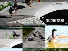 -太阳宫公园