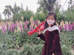 -成飞公园
