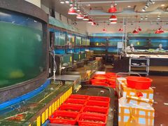 -新梅园不夜粥(龙华店)