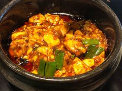 -陈麻婆豆腐总店
