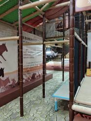 -卡通尼·Safari非洲探索乐园·生日会(金桥国际商业广场店)