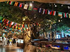 -杭州开元森泊度假乐园