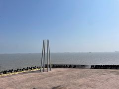 -上海滨江森林公园