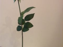 -淮扬韵.淮扬味道