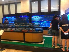 水产区-三亚海韵度假酒店·韵和轩中餐厅