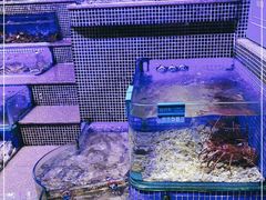 -青蓬蒸汽海鲜·深圳老字号·团建聚会(壹方城店)