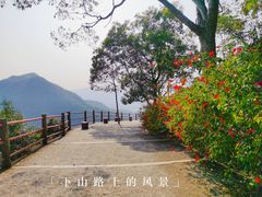 -东莞观音山旅游风景区
