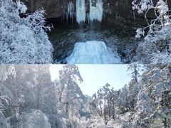 -龙苍沟森林公园