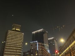 -上海虹桥西郊庄园丽笙大酒店