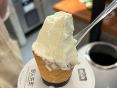 -野人先生Gelato(上海长宁龙之梦店)