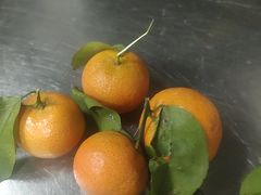 -荣基四海一家·家常菜·海鲜大排档(新安店)