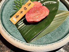 -老乾杯(深圳湾万象城店)