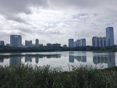 -南宁南湖公园