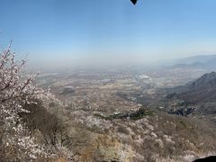 -阳台山自然风景区