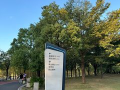 -牛岗山公园