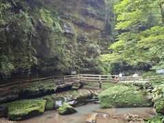 -碧峰峡风景区