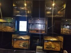 -太平洋海底世界