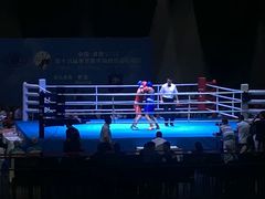 -成都金融城演艺中心