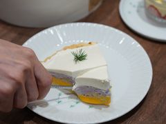 -猫里有甜
