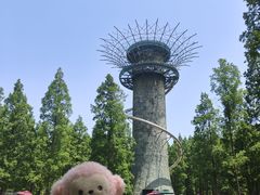 -黄海国家森林公园