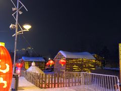 -沈阳奥体冰雪嘉年华