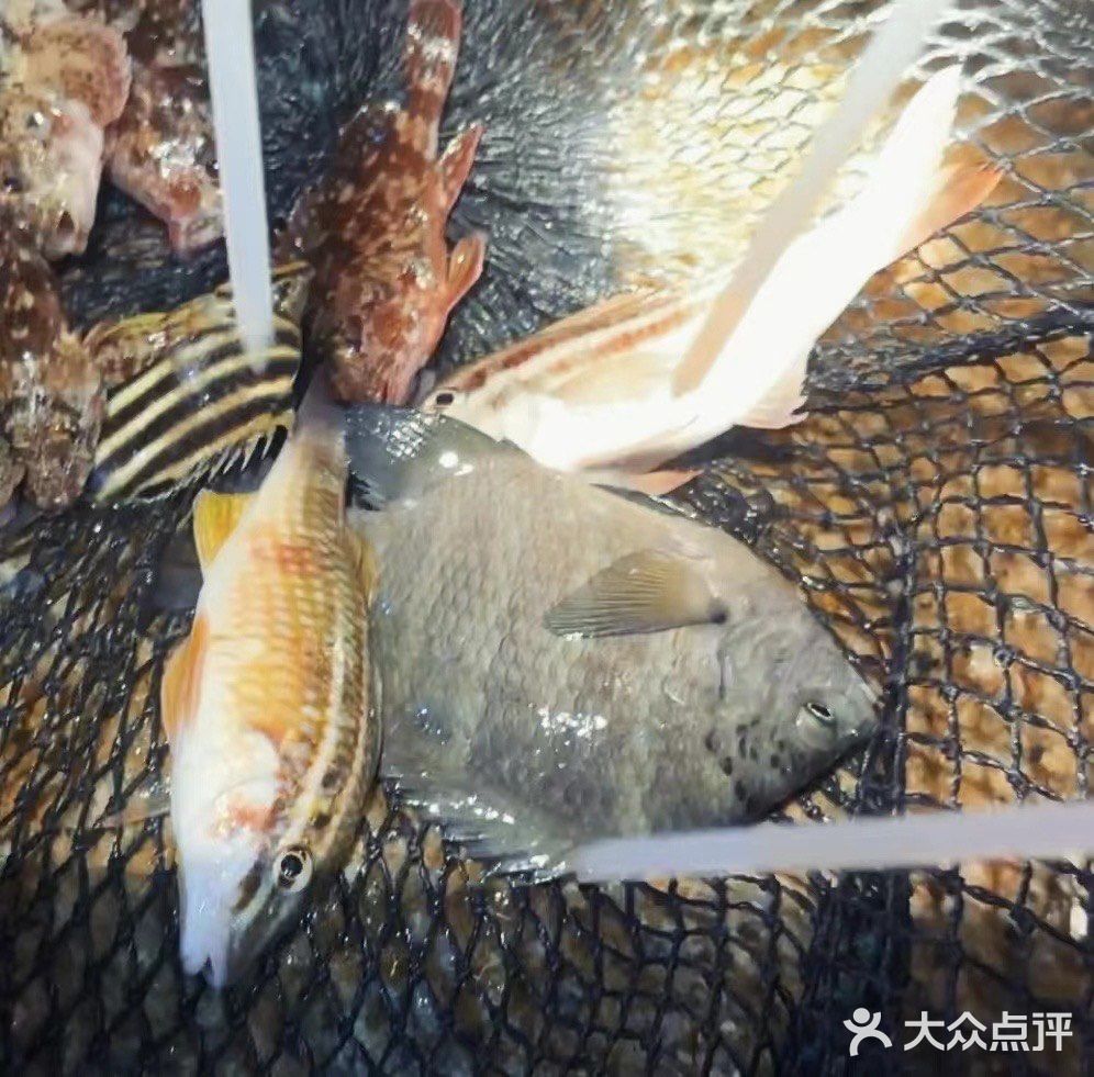 这样的赶海应该没有人不喜欢吧(2)图文篇🥰🥰🥰