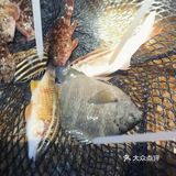 这样的赶海应该没有人不喜欢吧(2)图文篇🥰🥰🥰