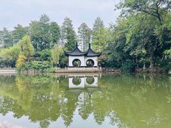 -红梅公园