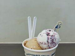 -海比甜店·意式手工冰激淋happy habit gelato
