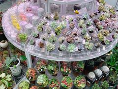 -KKV(深圳kk one 店)
