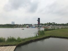 -春花秋色城市公园