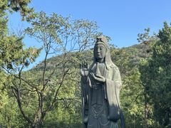 -千佛山风景名胜区