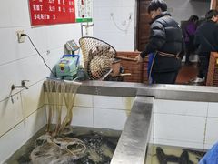 -都江堰石锅鱼