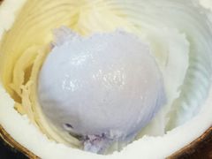 -志龙皇冠吃货椰子铺