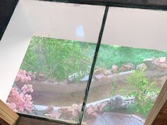 -缘福乡村铁锅炖民宿(八达岭店)