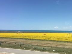 -青海湖国家重点风景名胜区