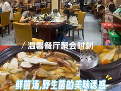 -菌之家·专业纯野生菌火锅·特色炒菌