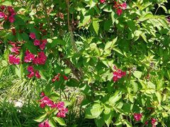 -鲁迅公园-垂钓中心