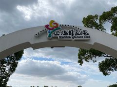 -上海鲜花港