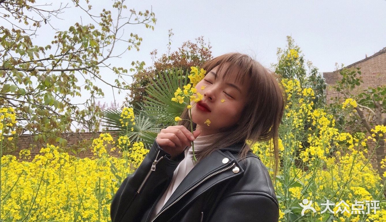 油菜花盛开地