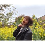 油菜花盛开地
