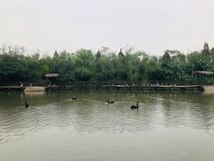 -溱湖国家湿地公园