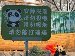 -秦皇岛野生动物园