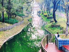 -北坞公园