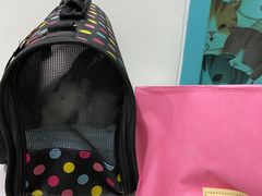 -北京观赏动物医院·24小时大型综合·猫专科·异宠专科